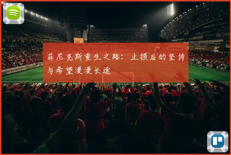 菲尼克斯重生之路：止损后的坚持与希望漫漫长途